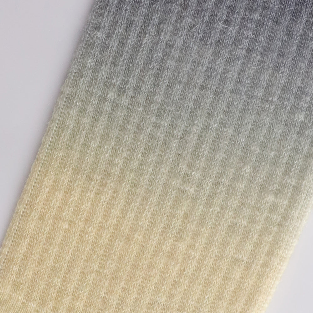 Lot de 4 paires de chaussettes mi-mollet à dégradé de couleurs pour femme Touch Wear Everyday